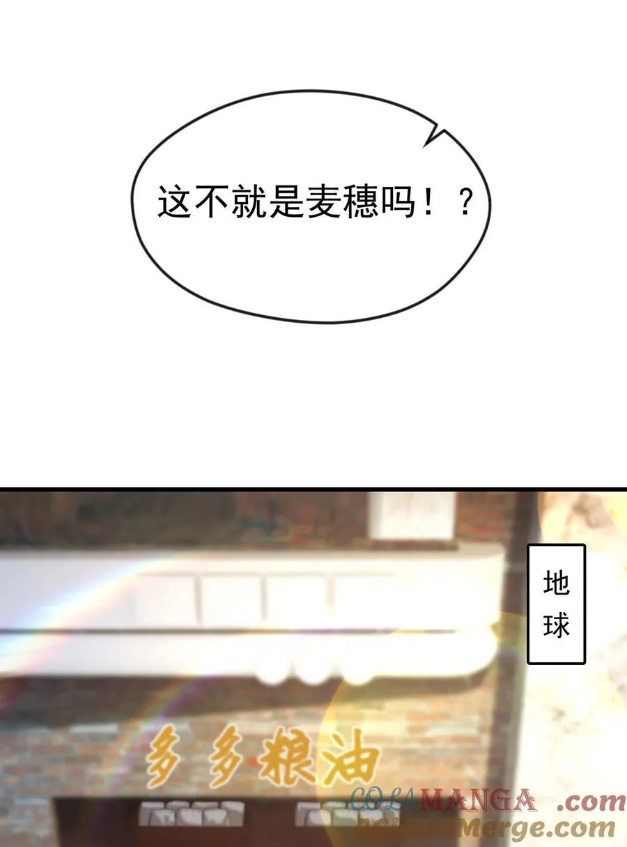 71 剑胎！16