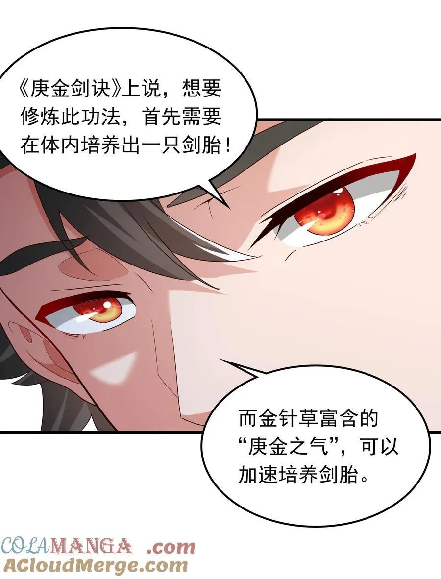 71 剑胎！14