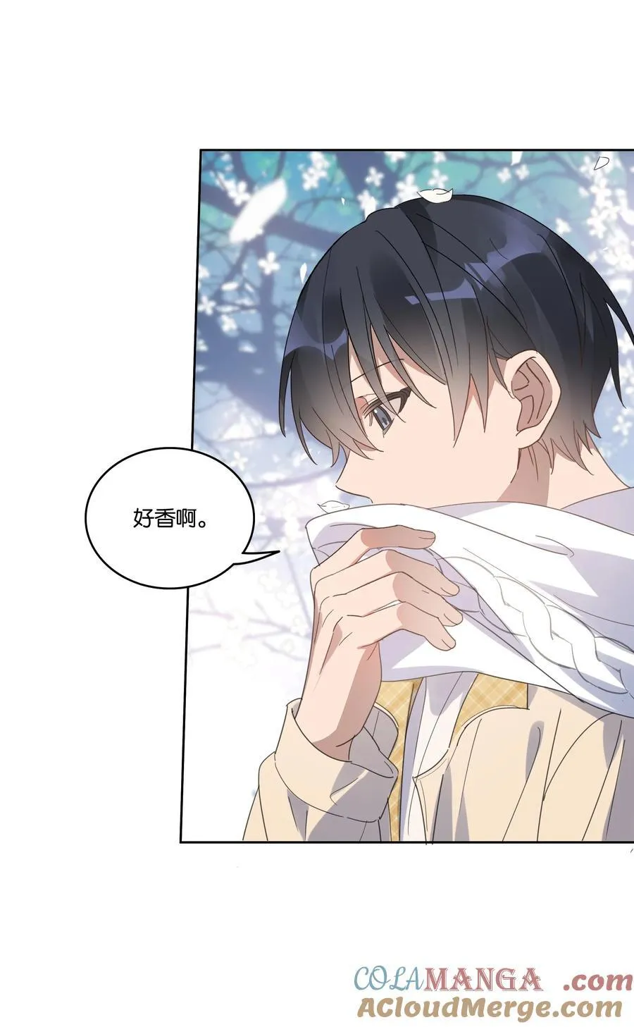 060 香雪海16
