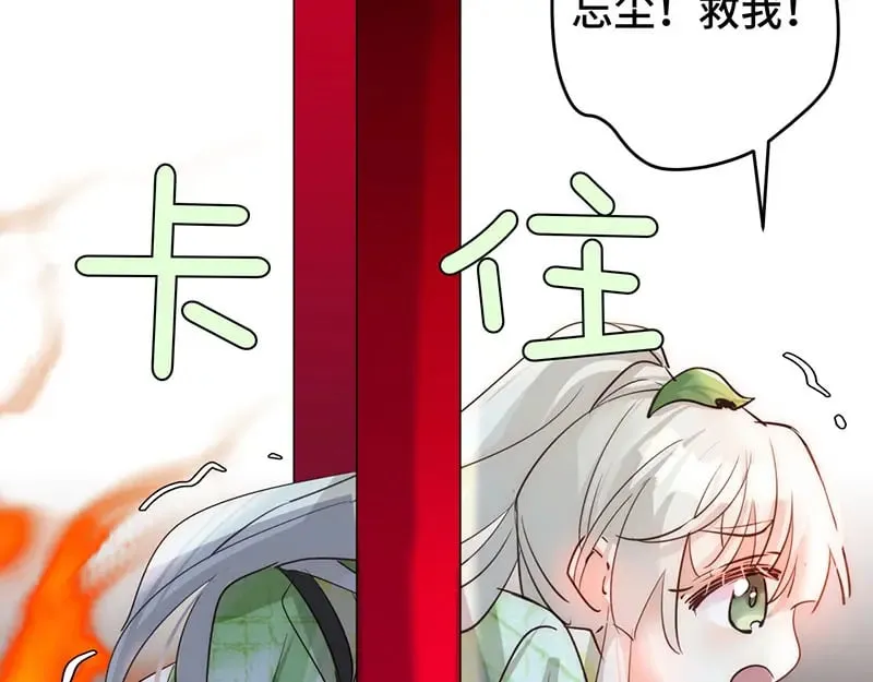 37 确认你的味道12