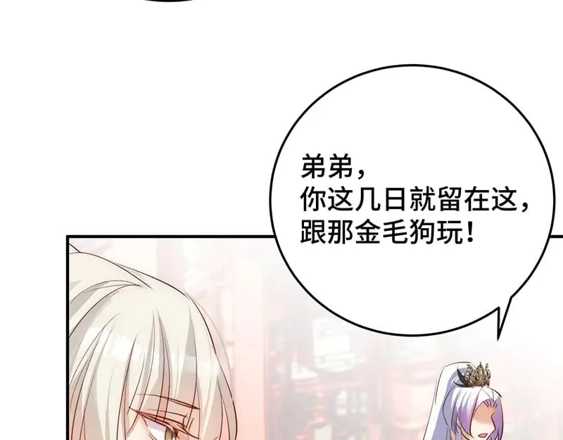 33 他是假狗？82