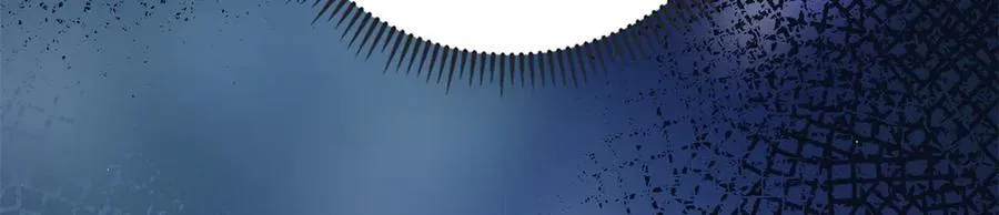 121 龙血34