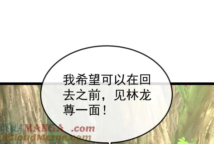第84话 面见林龙尊164