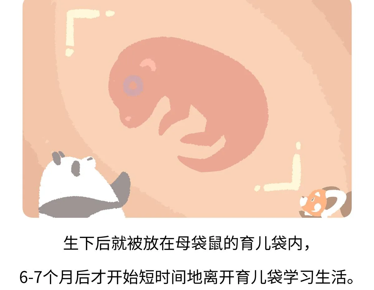 第228话20