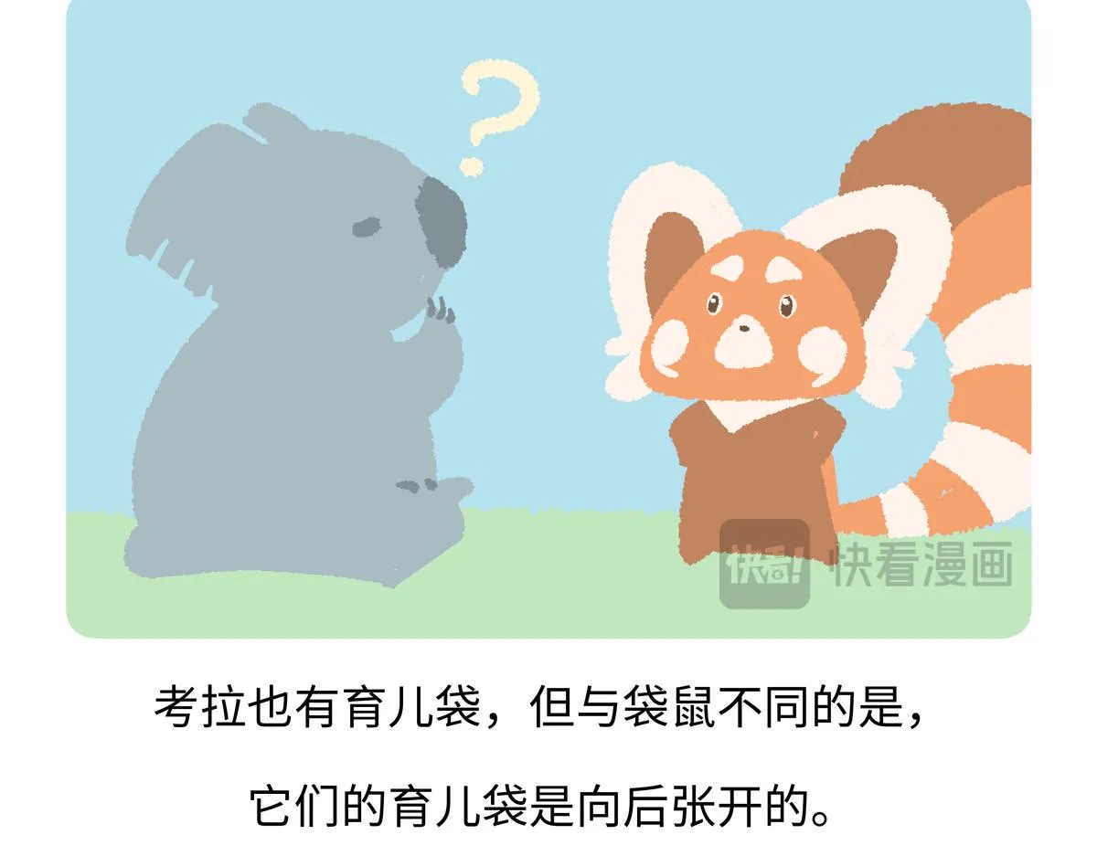 第236话18