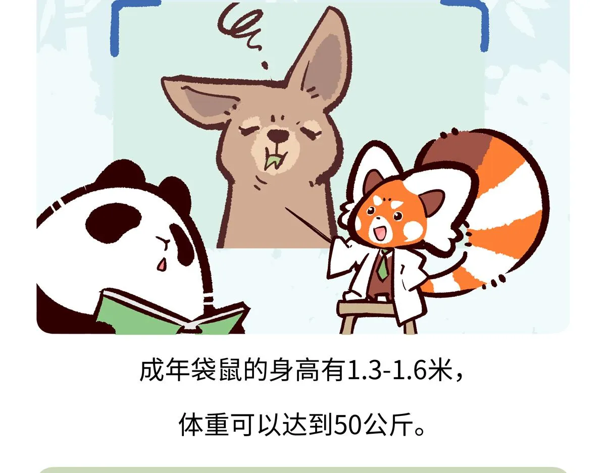 第233话16