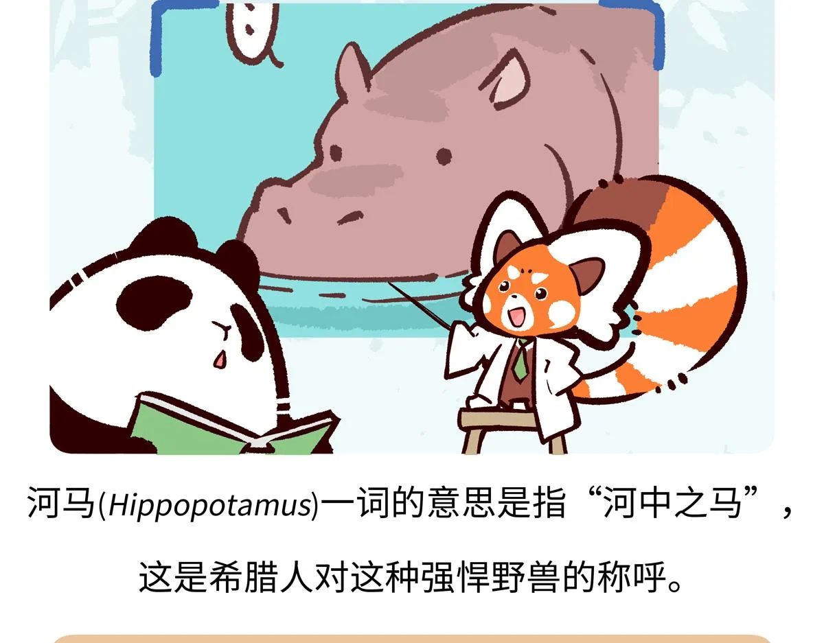 第239话18