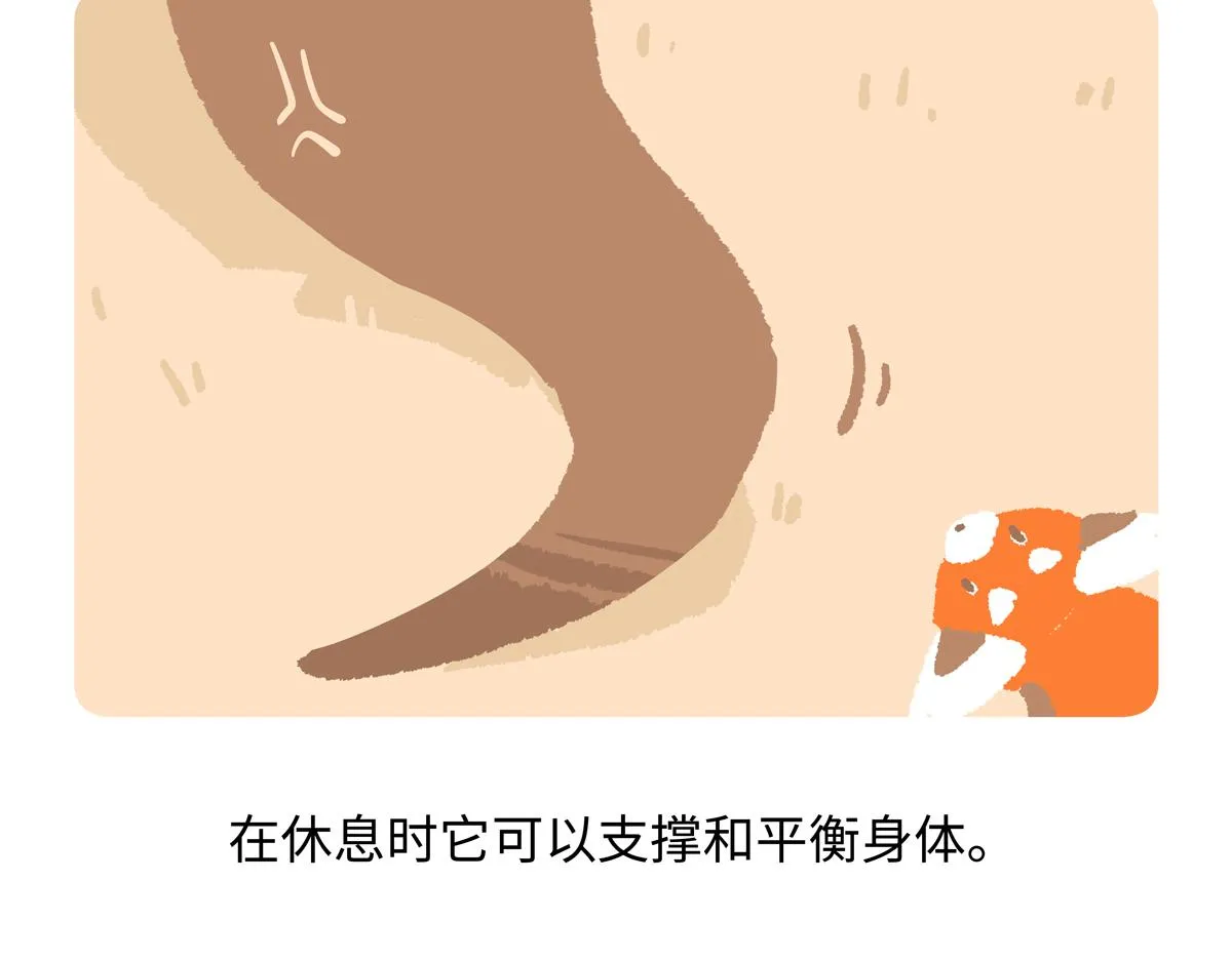 第230话24