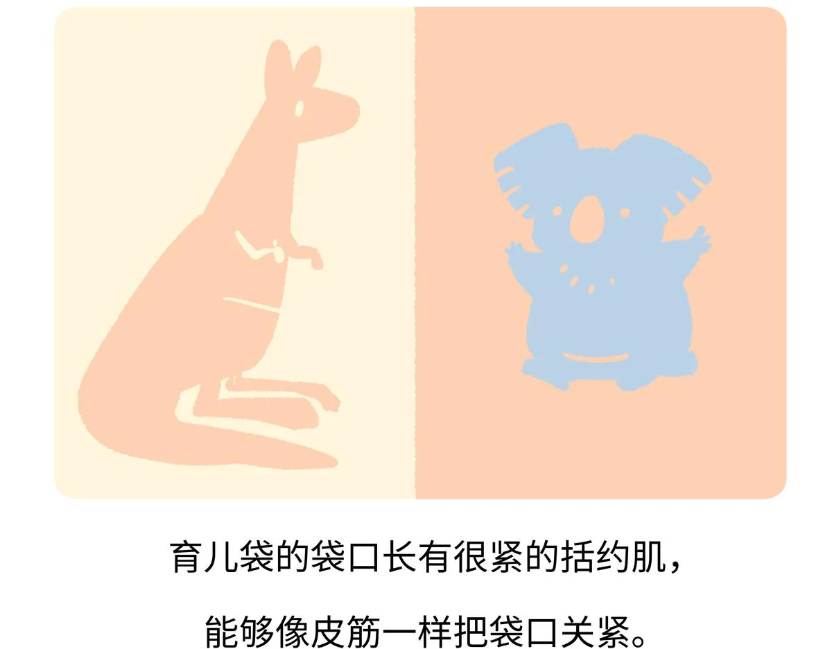 第236话20