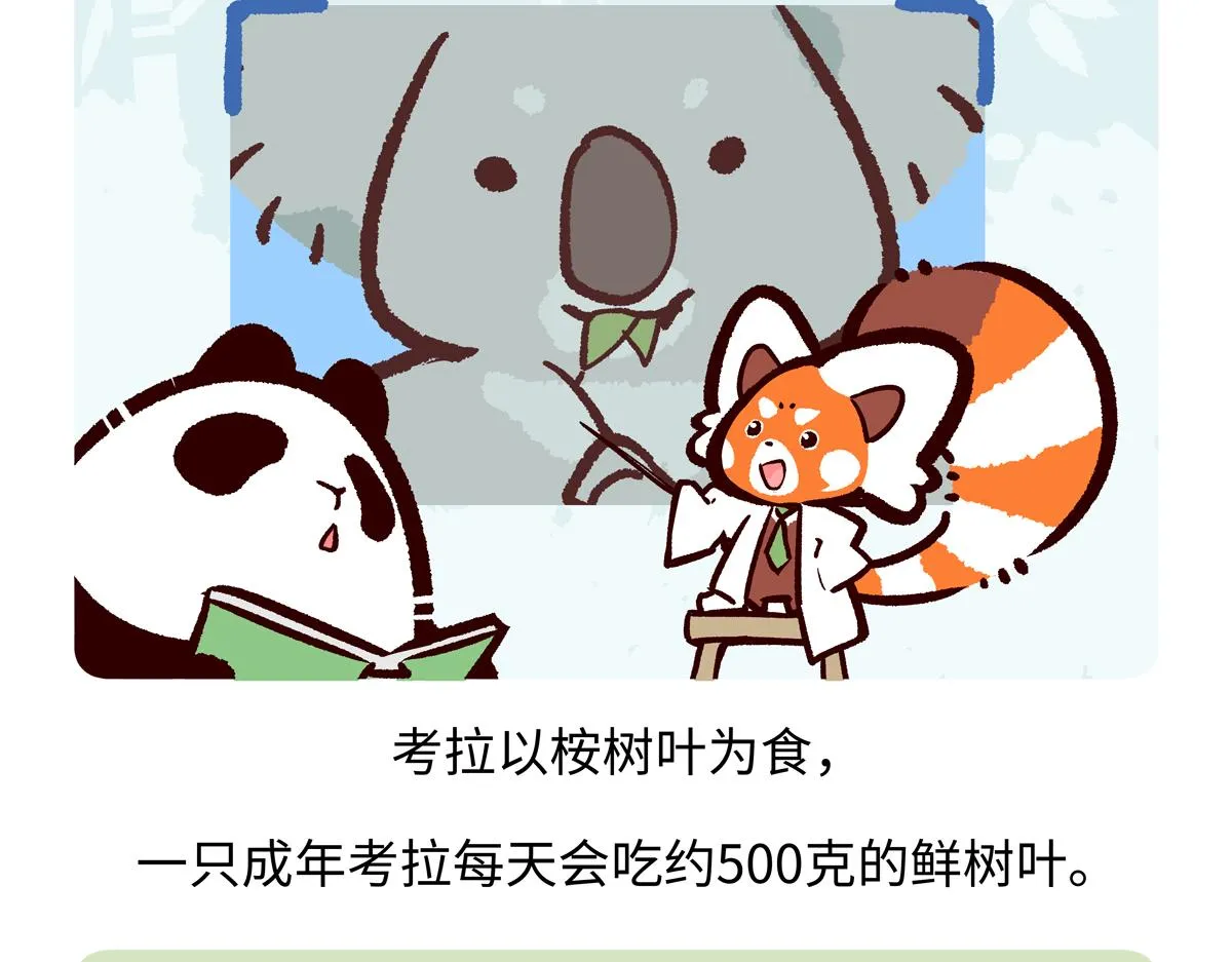 第235话18