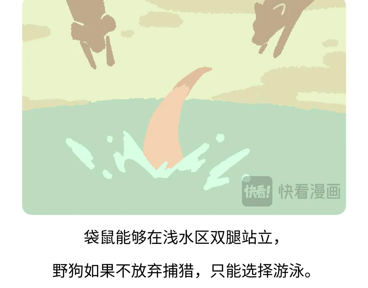 第233话23
