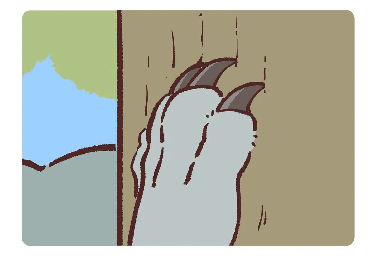 第234话13