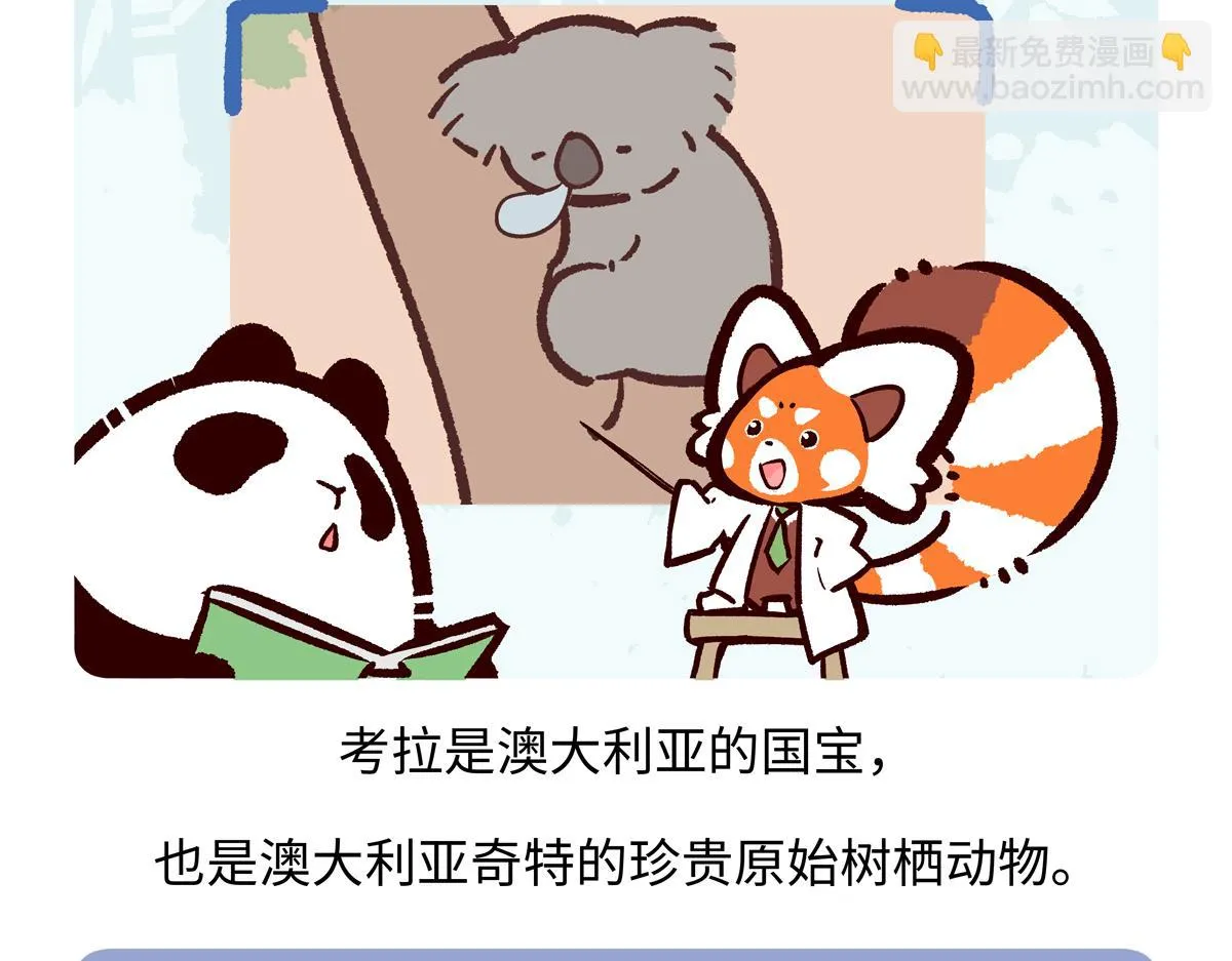 第234话18