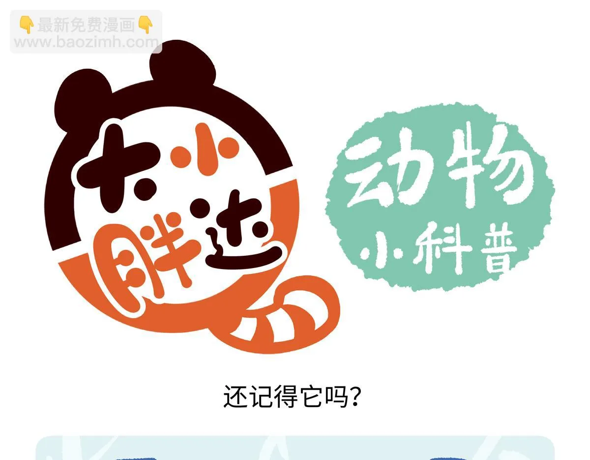 第227话17