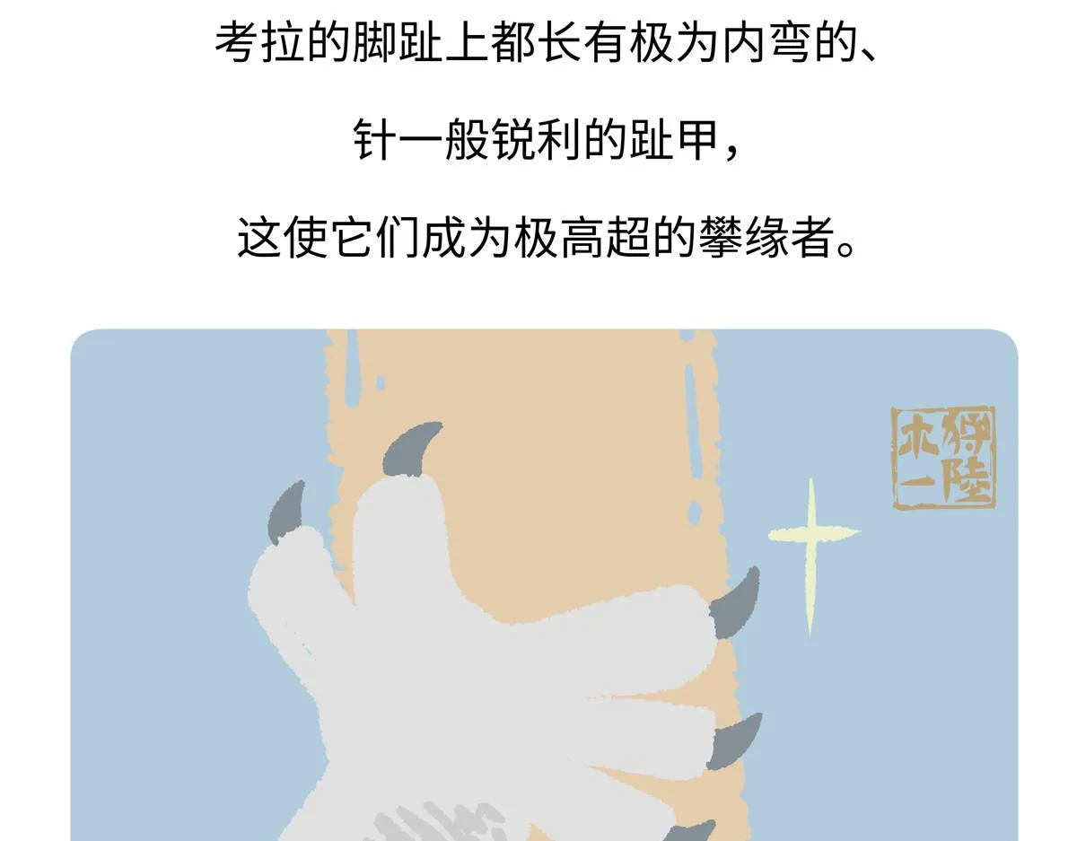 第234话29