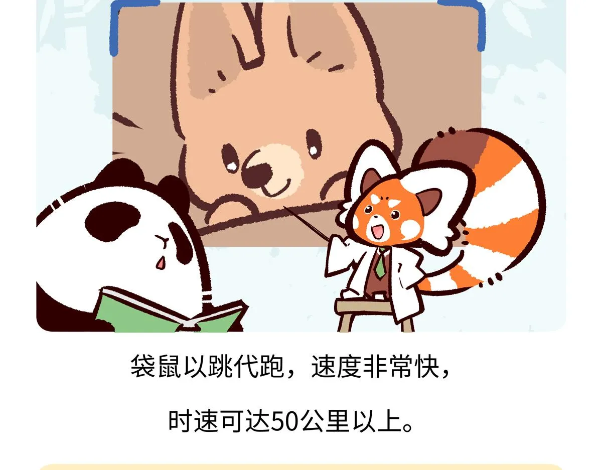 第231话17