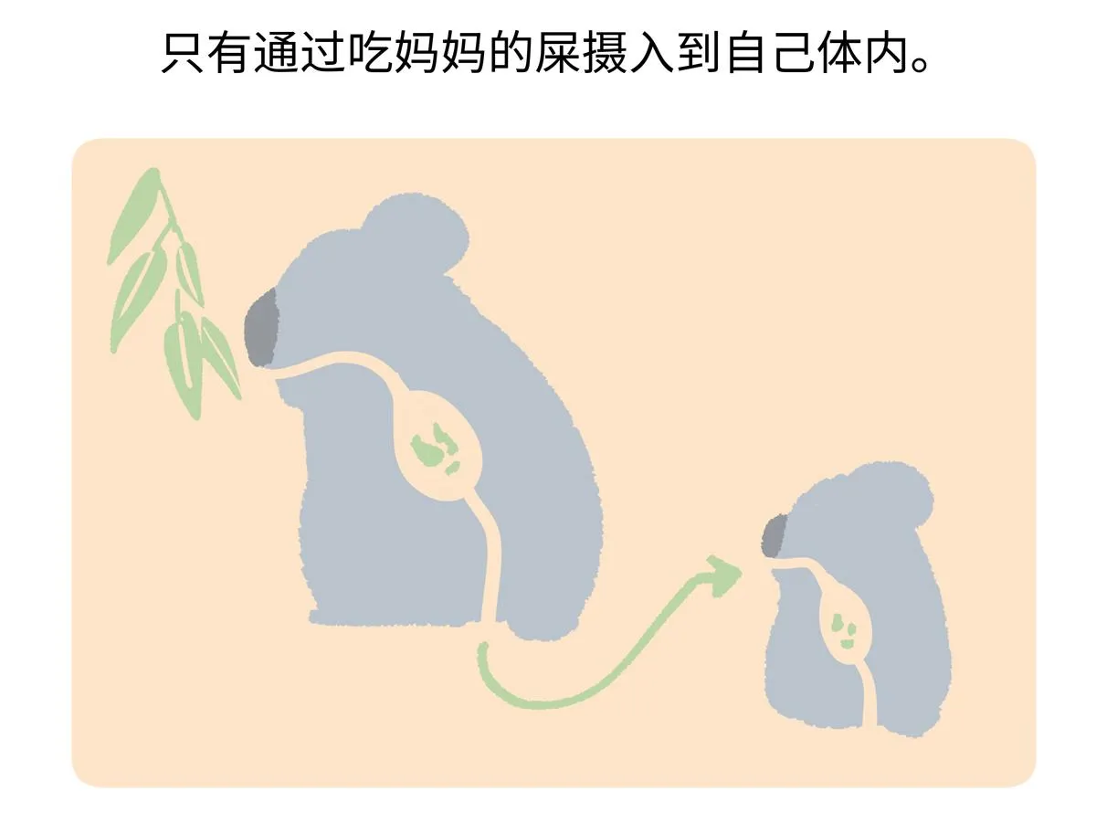 第237话27