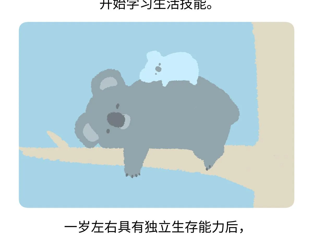 第238话19