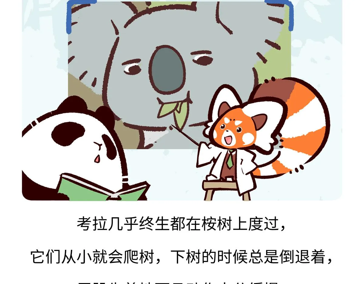 第234话25
