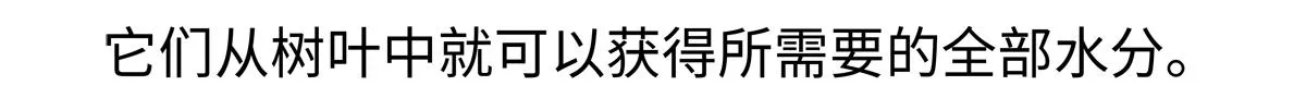 第234话20