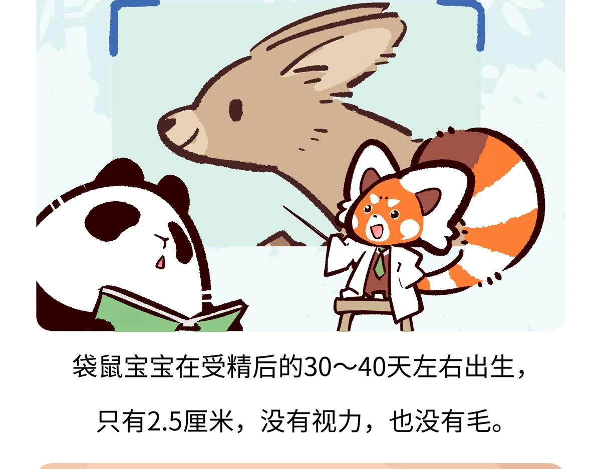 第228话19