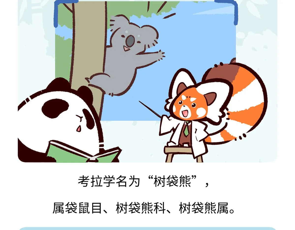 第236话17
