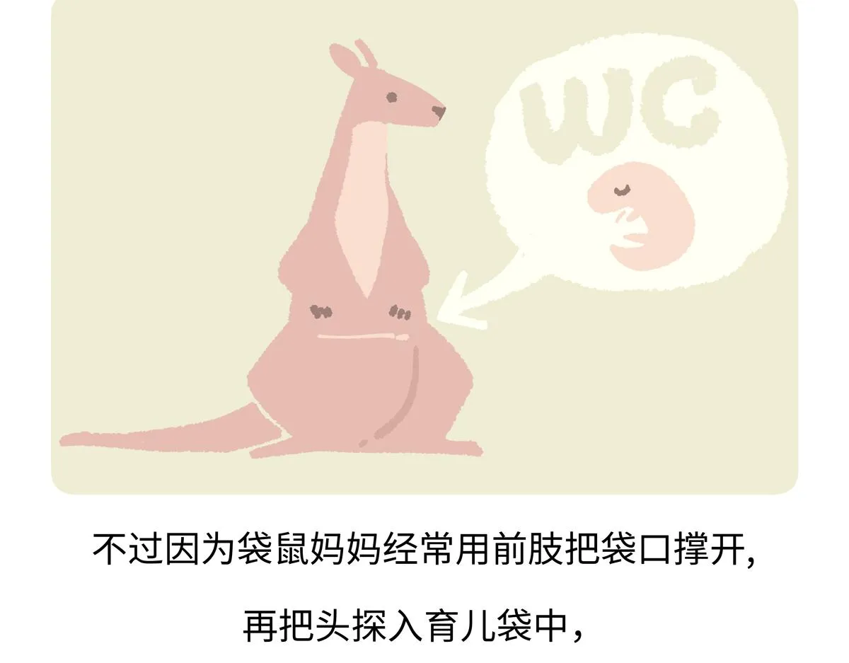 第229话19