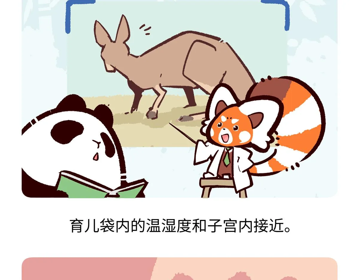 第230话17
