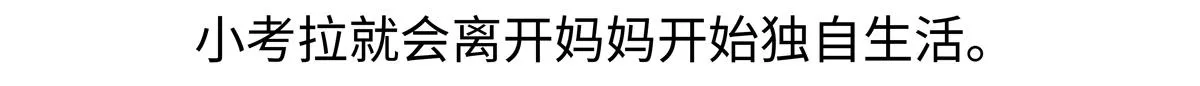 第238话20