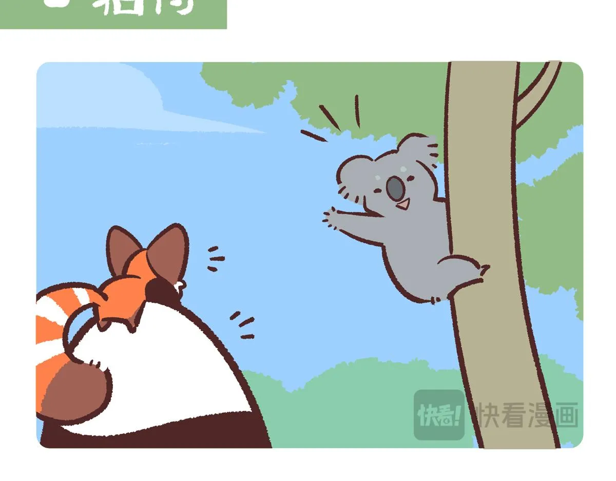 第236话12