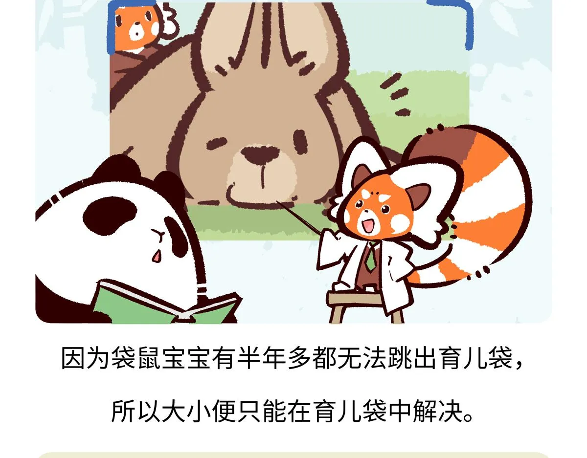 第229话18