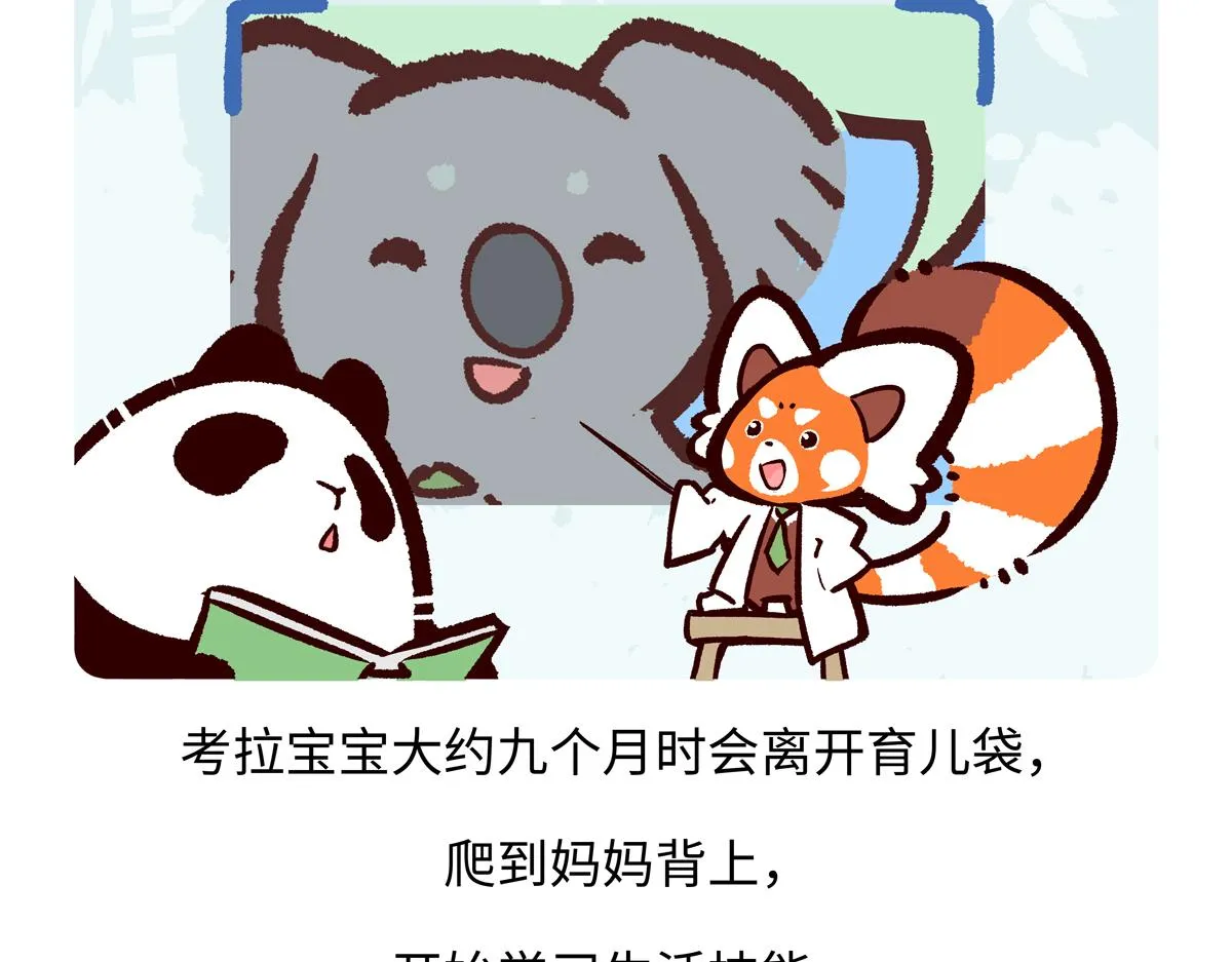 第238话18