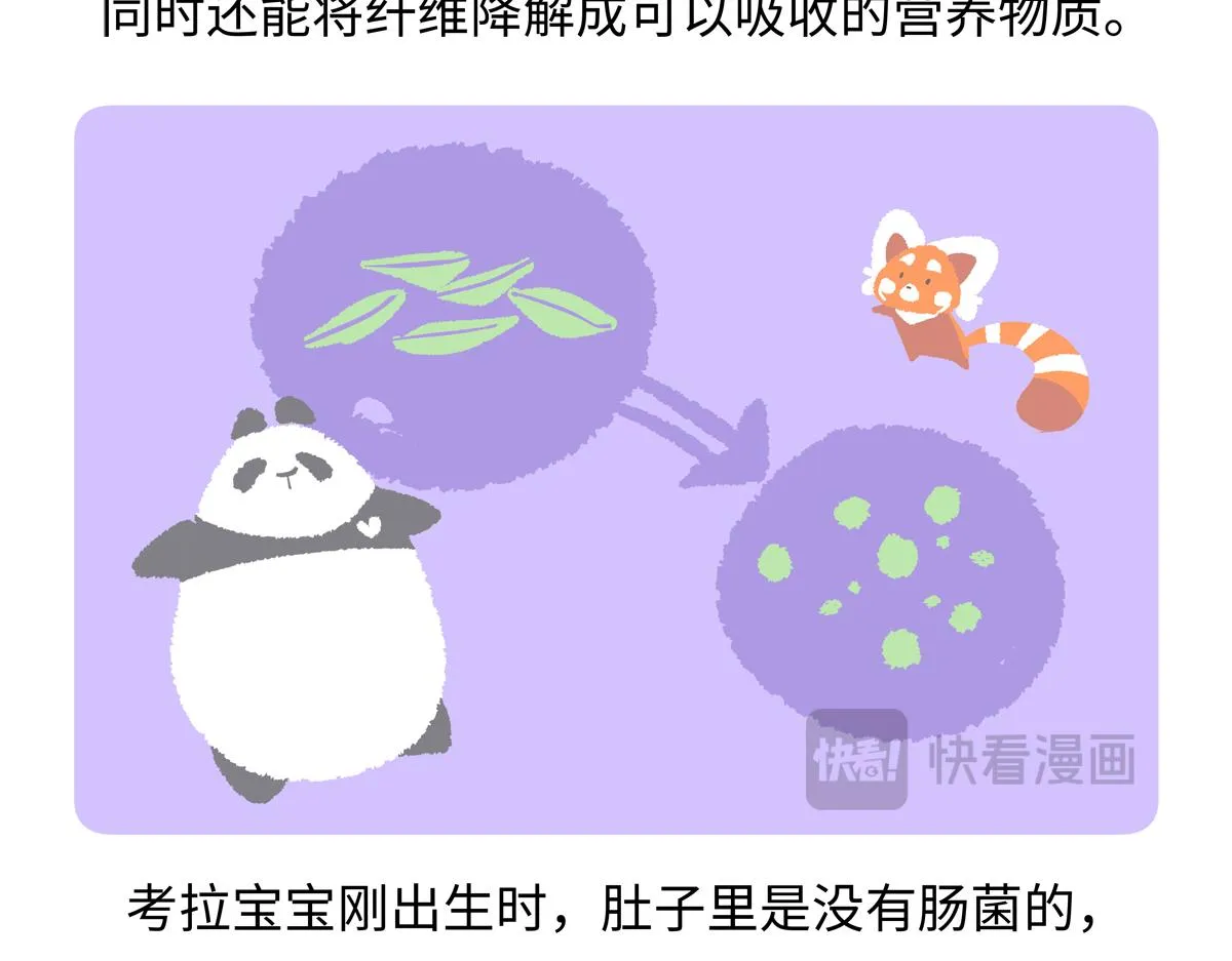 第237话26