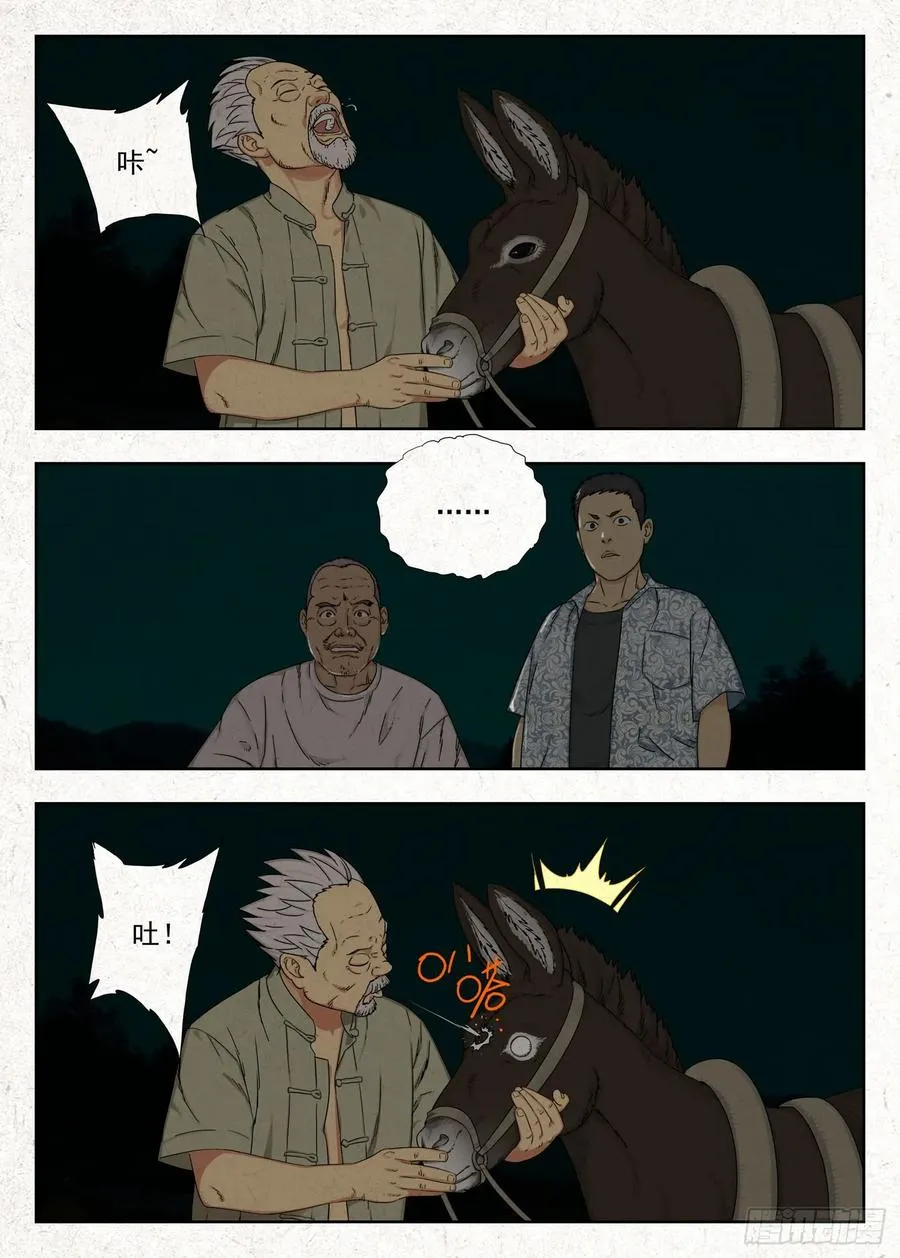 阴契19