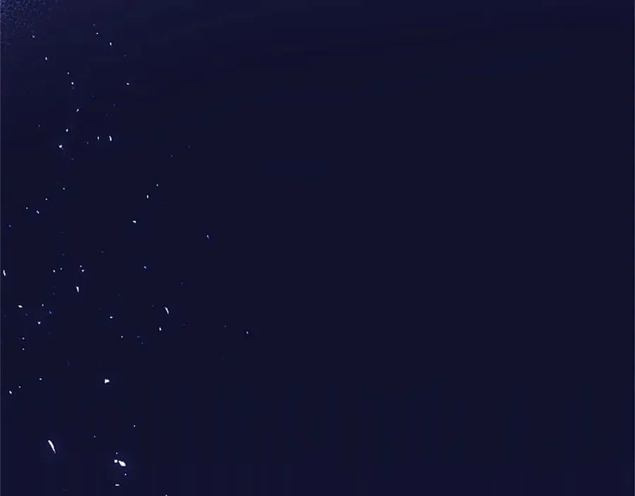 第100话 兄弟情分21