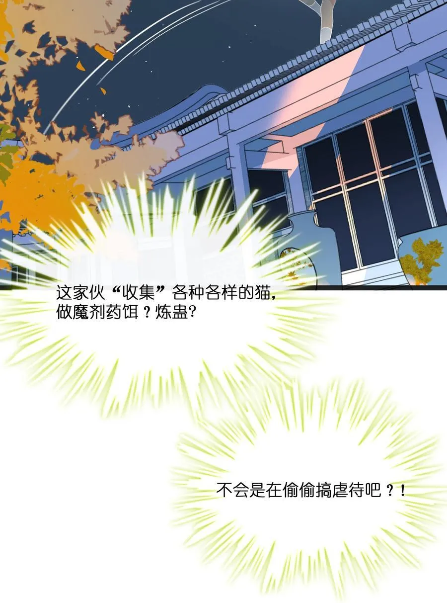 106 诈13