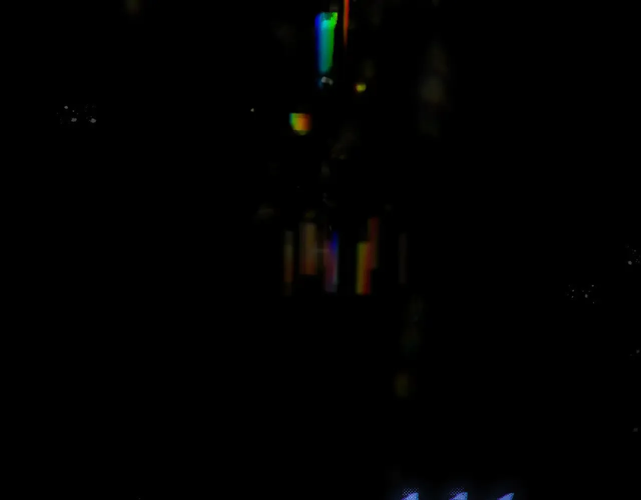 041——纵容101