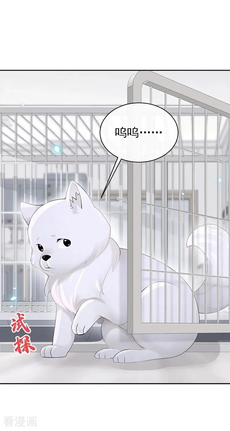 第115话 叫我宝宝1