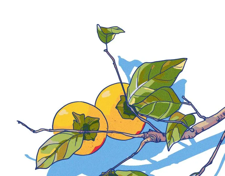第3话 植物克星6