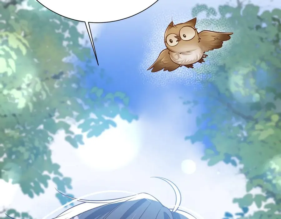 035 灭绝生物65