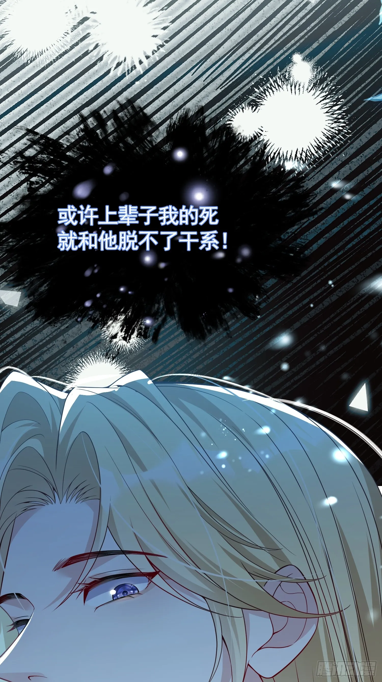 028 幕后黑手12