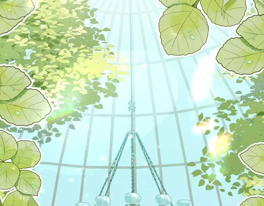 035 教皇表白13