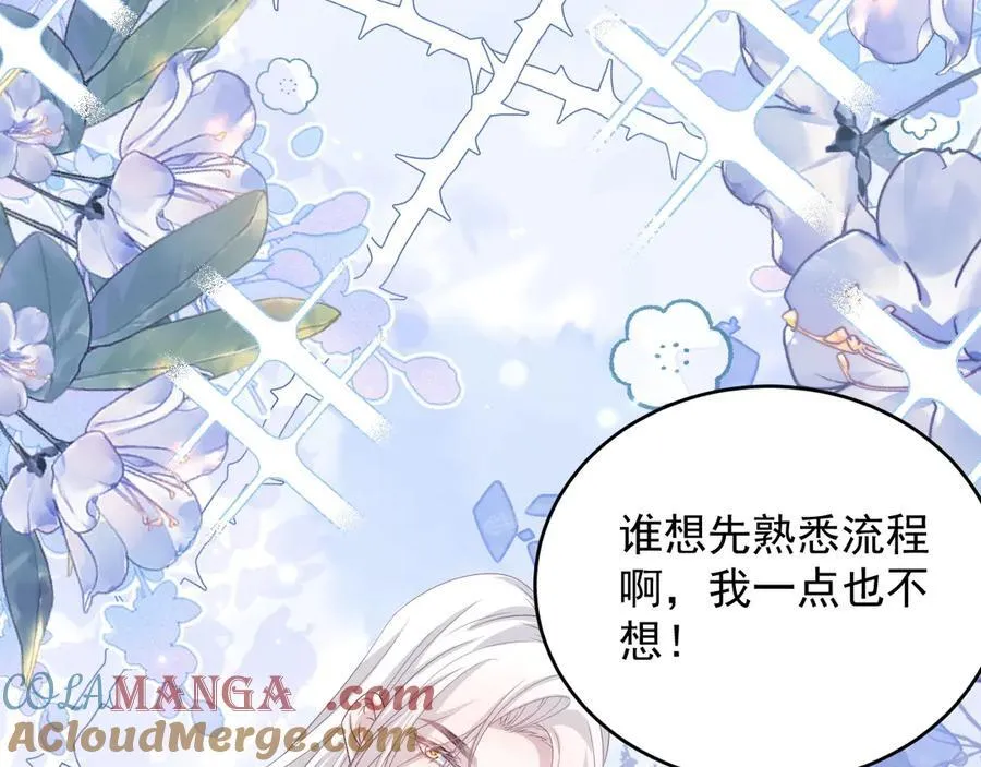 035 教皇表白48