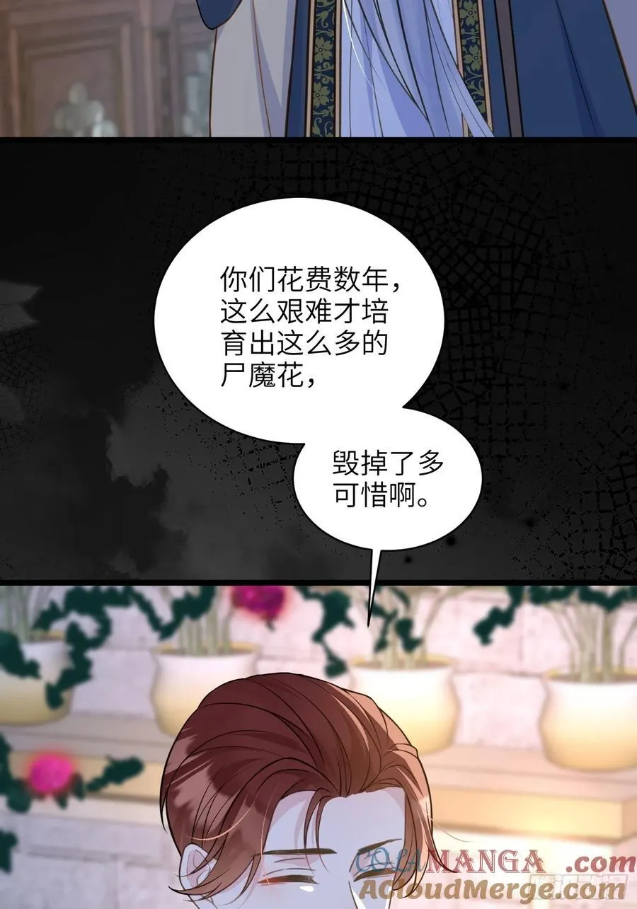 77 拉菲失忆的真相15