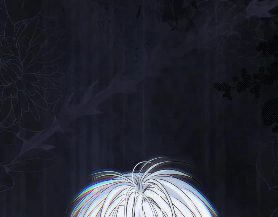 第74话 胸针的意义49
