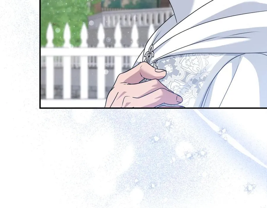 第74话 胸针的意义23