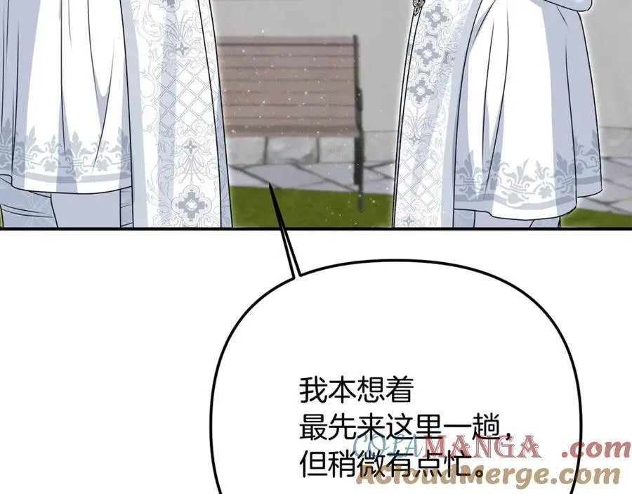 第74话 胸针的意义12