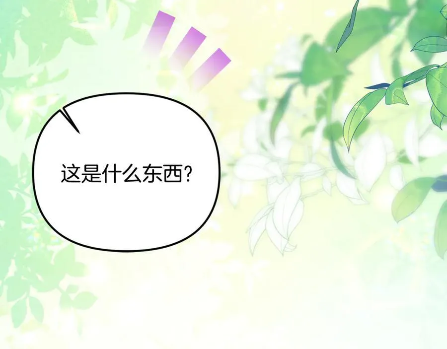 第74话 胸针的意义149