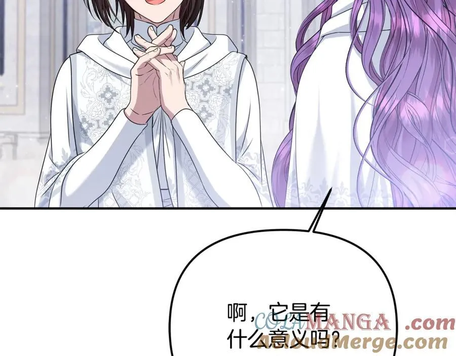 第74话 胸针的意义164