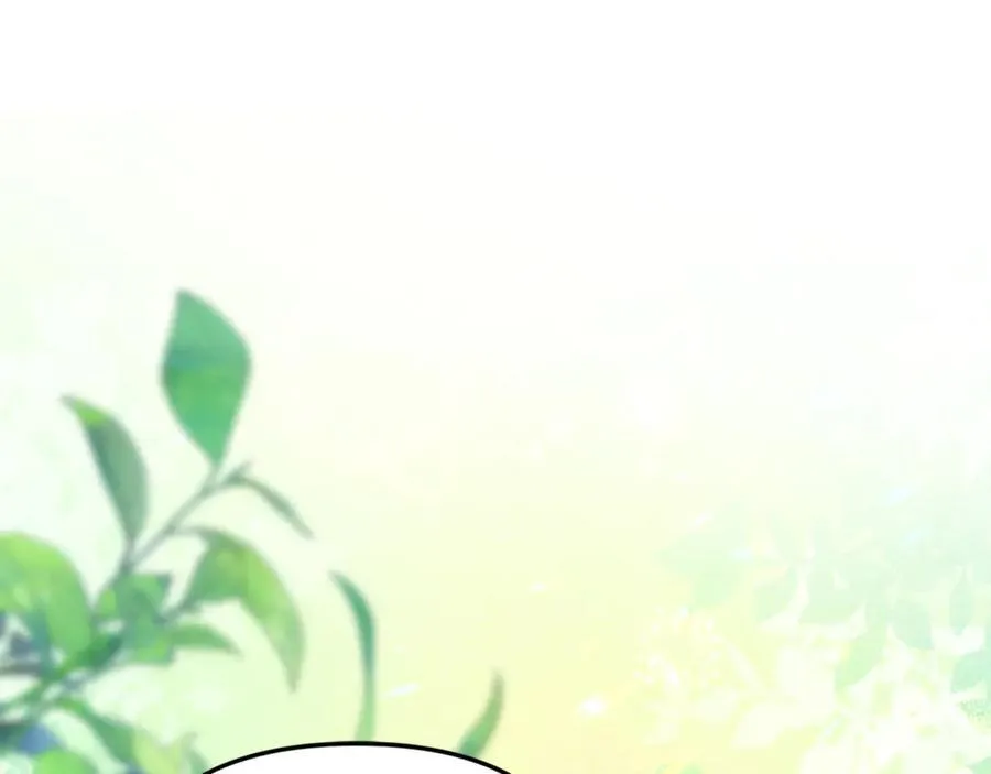 第74话 胸针的意义146